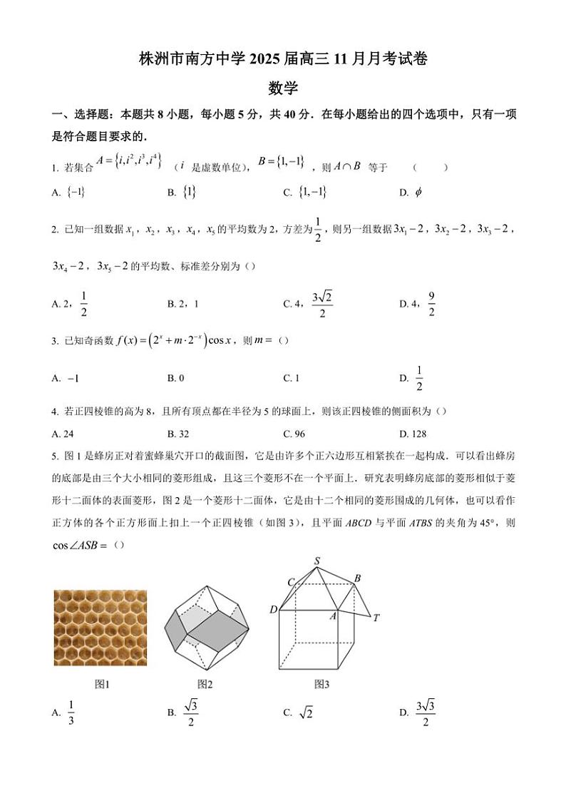 湖南省株洲市南方中学2024~2025学年高三(上)11月月考数学试卷(含答案)第1页