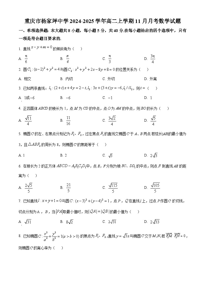 重庆市杨家坪中学2024-2025学年高二上学期11月月考数学试题(Word版附解析)01