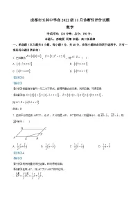 四川省成都市玉林中学2024-2025学年高三上学期11月诊断性评价数学试题（Word版附解析）