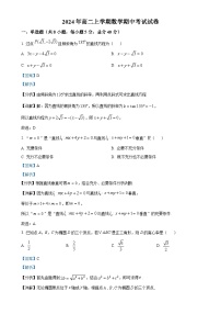 湖南省岳阳市云溪区2024-2025学年高二上学期11月期中考试数学试题（解析版）-A4