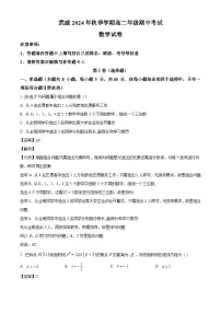 甘肃省武威2024-2025学年高二上学期期中考试 数学试卷（含解析）