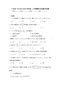 广东省广州2024-2025学年高二上学期期中考试 数学试题（含解析）
