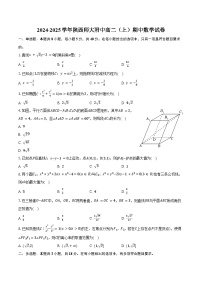 2024-2025学年陕西师大附中高二（上）期中数学试卷（含答案）