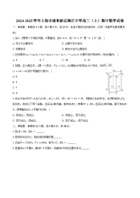 2024-2025学年上海市浦东新区南汇中学高二（上）期中数学试卷（含答案）