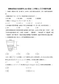 湖南省娄底市名校联考2025届高三上学期11月月考数学试题（含答案）
