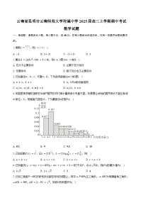 云南省昆明市云南师范大学附属中学2025届高三上学期期中考试数学试题（含答案）