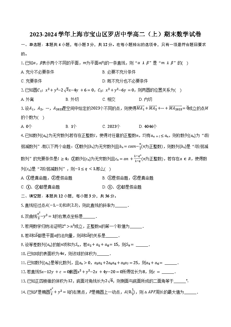 2023-2024學(xué)年上海市寶山區(qū)羅店中學(xué)高二（上）期末數(shù)學(xué)試卷（含答案）第1頁