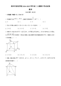 河南省郑州市郑州外国语学校2024-2025学年高二上学期11月期中考试数学试题（原卷及解析版）