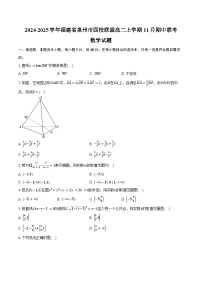 2024-2025学年福建省泉州市四校联盟高二上学期11月期中联考数学试题（含答案）
