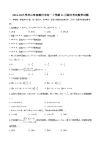 2024-2025学年山东省德州市高一上学期11月期中考试数学试题(含答案)
