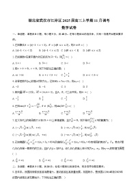 湖北省武汉市江岸区2025届高三上学期11月调考数学试卷（含答案）