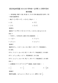 2024~2025学年浙江省金砖联盟高一(上)11月期中联考数学试卷(解析版)