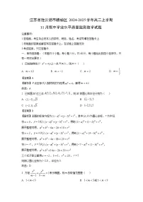 2024~2025学年江苏省连云港市赣榆区高二(上)11月期中学业水平质量监测数学试卷(解析版)