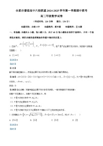 安徽省合肥市普通高中六校联盟2024-2025学年高三上学期期中考试数学试卷 含解析