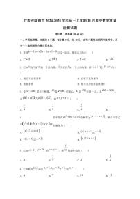 甘肃省陇南市2024-2025学年高三上学期11月期中数学质量检测试题（含解析）