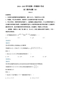 山东省菏泽市2024-2025学年高二上学期11月期中考试数学（B卷）试卷（Word版附解析）