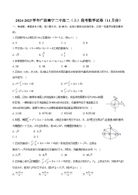 2024-2025学年广西南宁二中高二（上）段考数学试卷（11月份）（含答案）