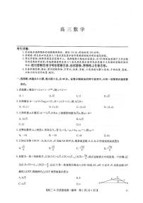甘肃省2025届高三上学期12月联考数学试题