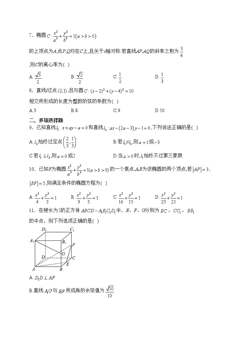 湖北省武汉市常青联合体2024-2025学年高二上学期期中考试数学试卷(含答案)第2页