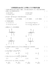 九师联盟2025届高三上学期11月月考数学试题