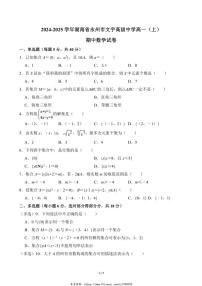 2024～2025学年湖南省永州市文宇高级中学高一(上)期中数学试卷(无答案)