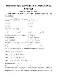 黑龙江省实验中学2024-2025学年高三上学期第三次月考数学试题（Word版附答案）