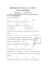 四川省成都市盐道街中学2024-2025学年高二上学期期中考试数学试题