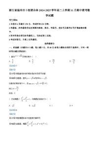浙江省温州市十校联合体2024-2025学年高二上学期11月期中联考数学试题（Word版附解析）
