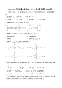 2024-2025学年新疆大联考高三（上）月考数学试卷（11月份）（含答案）