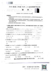 河南省TOP二十名校2024-2025学年高三上学期调研考试四(12月)数学试题