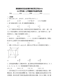 新疆维吾尔自治区喀什地区英吉沙县2024-2025学年高二上学期期中考试数学试卷(含答案)