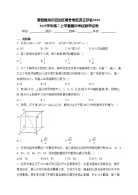 新疆维吾尔自治区喀什地区英吉沙县2024-2025学年高二上学期期中考试数学试卷(含答案)