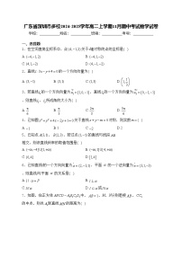广东省深圳市多校2024-2025学年高二上学期11月期中考试数学试卷(含答案)
