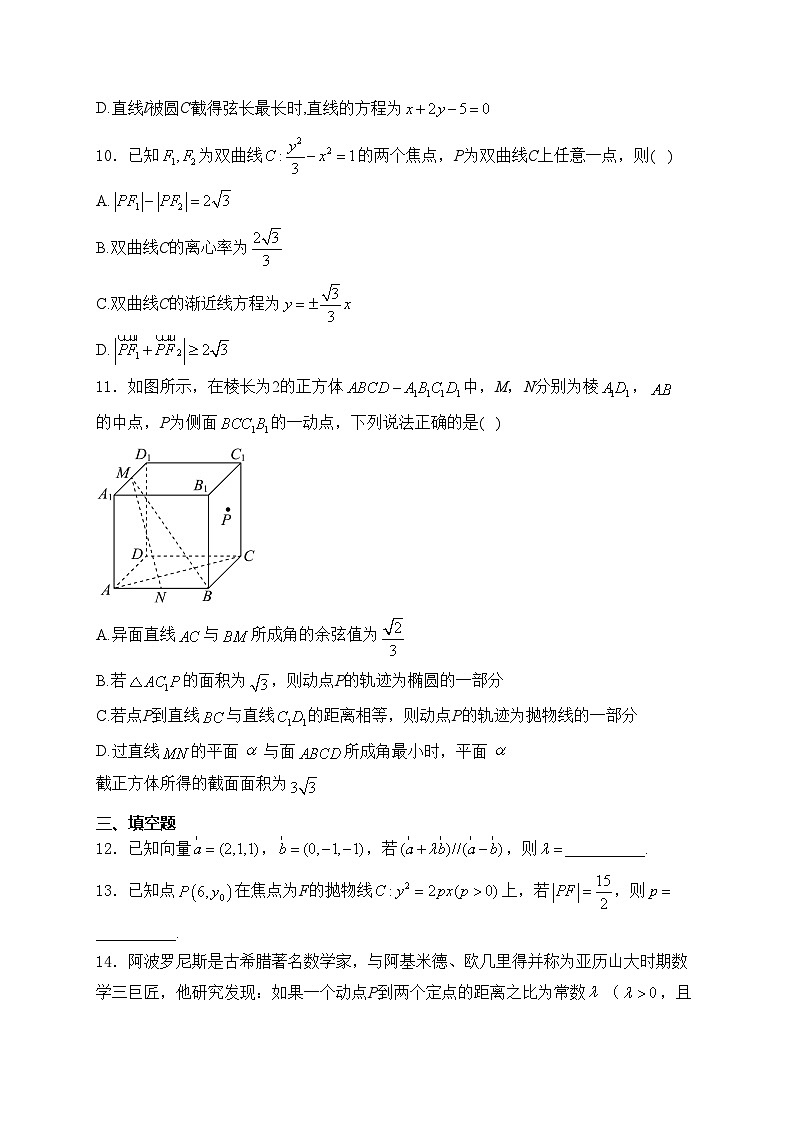 广东省东莞市七校联考2024-2025学年高二上学期12月月考数学试卷(含答案)第3页