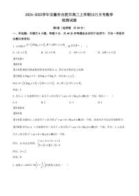 2024-2025学年安徽省合肥市高三上学期12月月考数学检测试题（含解析）