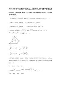 2024-2025学年安徽省六安市高三上学期11月月考数学检测试题（含答案）