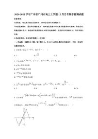2024-2025学年广东省广州市高三上学期12月月考数学检测试题（含答案）