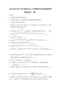 2024-2025学年上海市青浦区高三上学期期终学业质量调研数学模拟试卷（一模）含答案