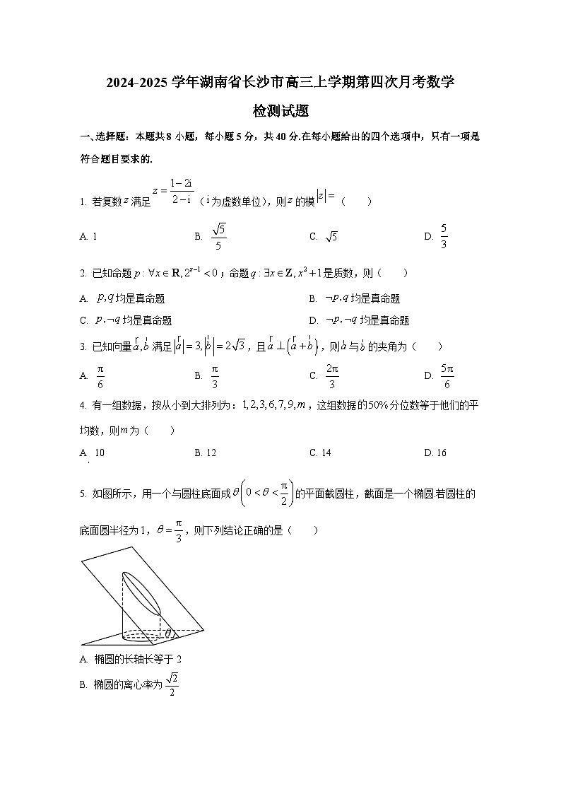 2024-2025学年湖南省长沙市高三上学期第四次月考数学检测试题第1页