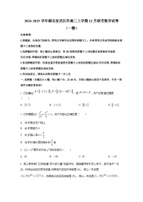 2024-2025学年湖北省武汉市高三上学期12月联考数学试卷（一模）