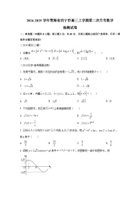 2024-2025学年青海省西宁市高三上学期第二次月考数学检测试卷