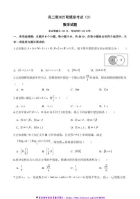 2024～2025学年山东省菏泽市单县第一中学高三(上)数学期末打靶模拟考试试卷(含解析)