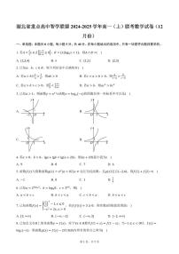 湖北省重点高中智学联盟2024-2025学年高一（上）联考数学试卷（12月份）（含答案）