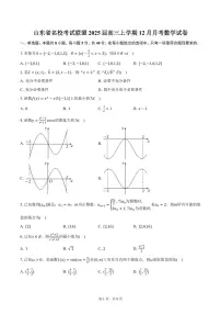 山东省名校考试联盟2025届高三上学期12月月考数学试卷（含答案）