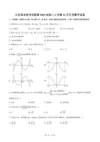 山东省名校考试联盟2025届高三上学期12月月考数学试卷(含答案)