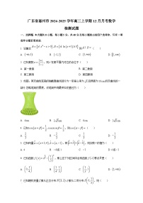广东省惠州市2024-2025学年高三上学期12月月考数学检测试题
