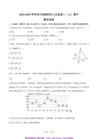 2024～2025学年四川省绵阳市三台县高二(上)期中数学试卷(含答案)
