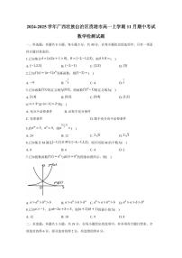 2024-2025学年广西壮族自治区贵港市高一上学期11月期中考试数学检测试题（含解析）