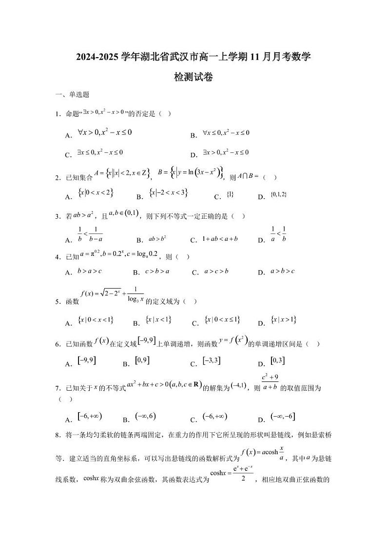 2024-2025学年湖北省武汉市高一上学期11月月考数学检测试卷(含答案)第1页