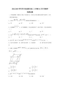 2024-2025学年四川省成都市高二上学期12月月考数学检测试题（含解析）